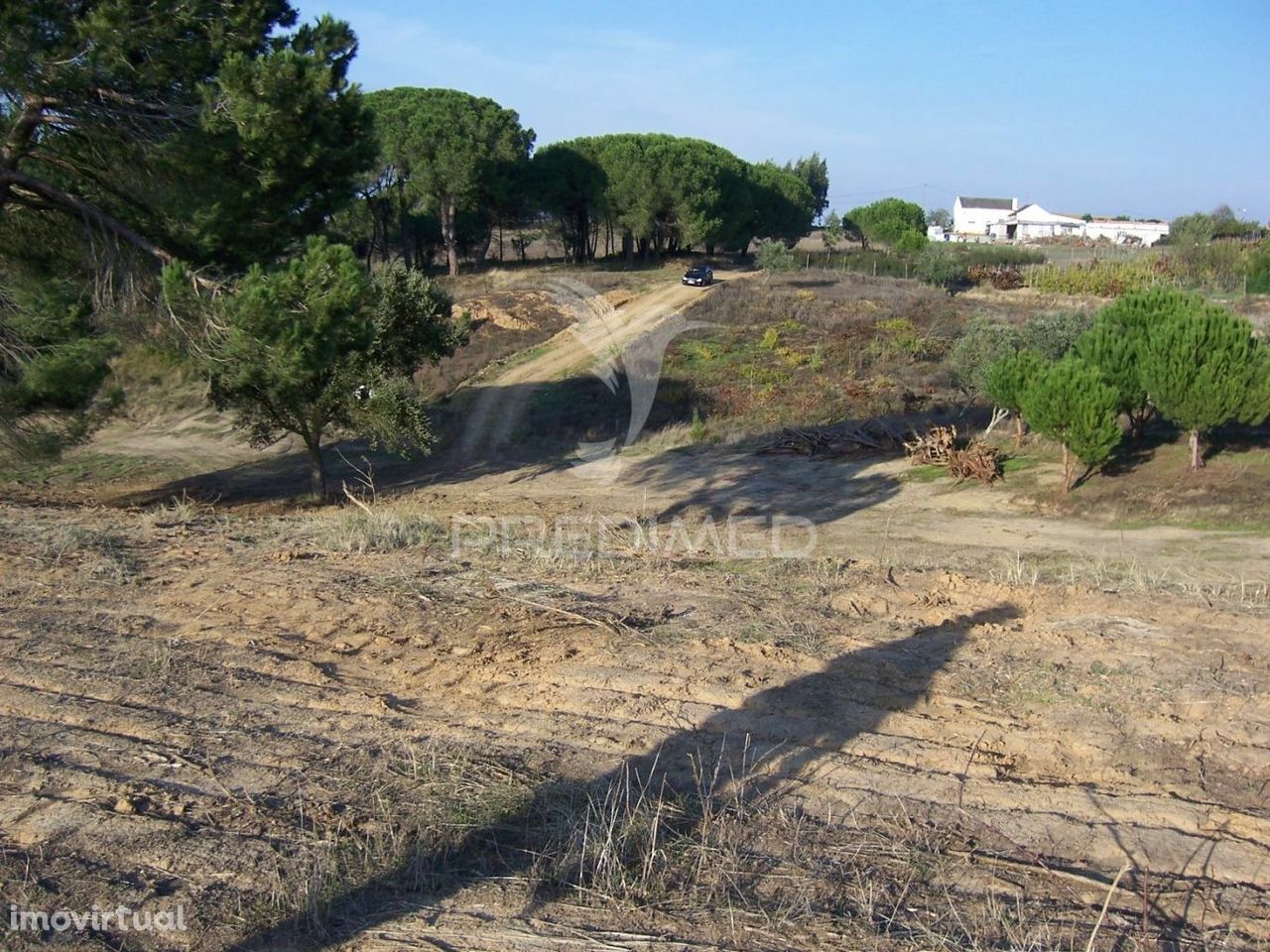 TERRENO AVEIRAS DE CIMA - 30 MINUTOS DE LISBOA