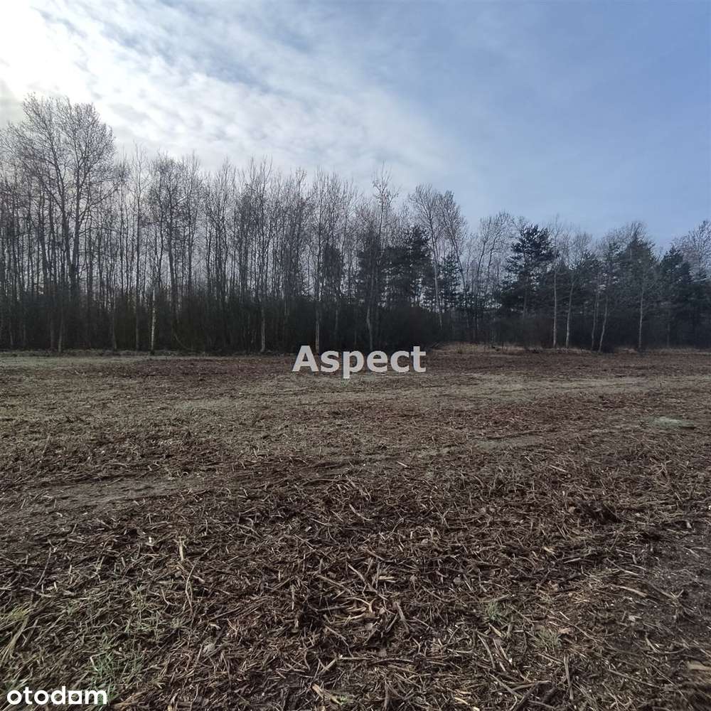 Atrakcyjna działka w otoczeniu lasów - Pełny obrazek: 4/4