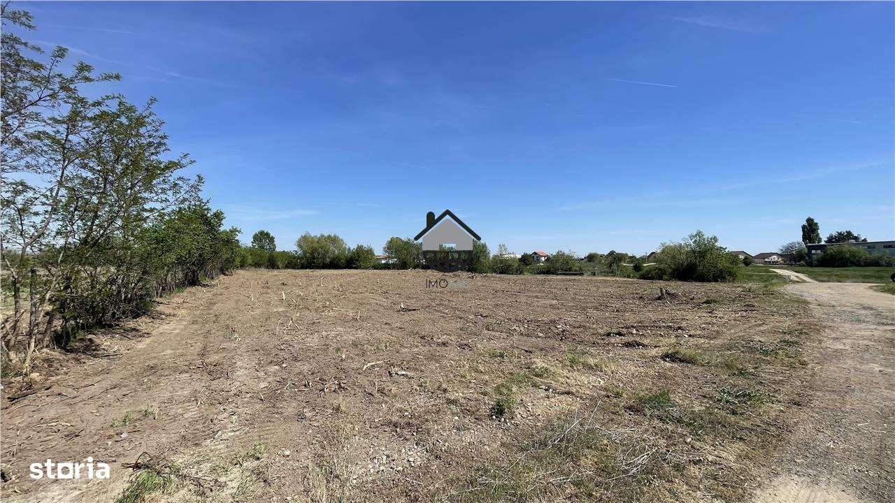Teren Intravilan 5000mp in Buvovat - Imagine principală: 2/7