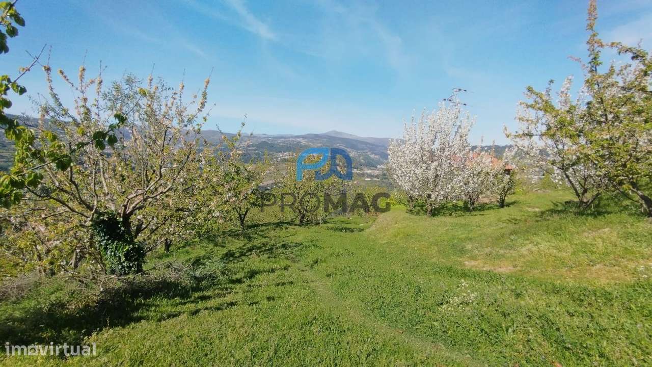 Quinta do Valado- Excelente Investimento em Resende-52