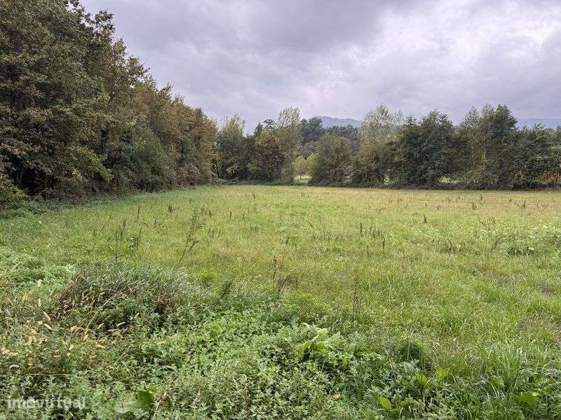 Casa c/terreno e campo 32500m2 - Grande imagem: 5/6