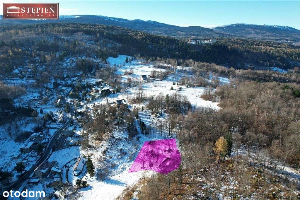 Działka, 2 500 m², Sosnówka - Pełny obrazek: 5/12