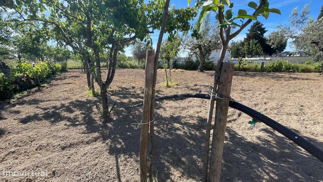 Terreno Rústico | Lousa CTB, Castelo Branco - Grande imagem: 2/28