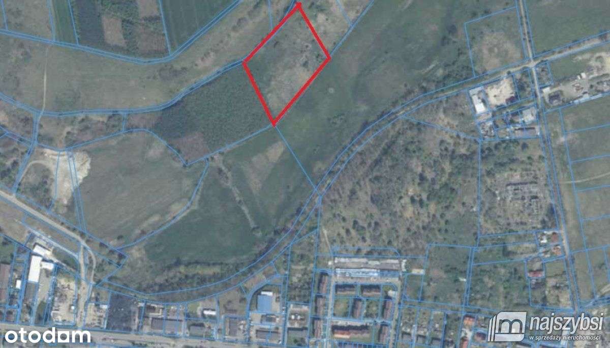Nowogard - działka rolna 1,65ha - Pełny obrazek: 5/8