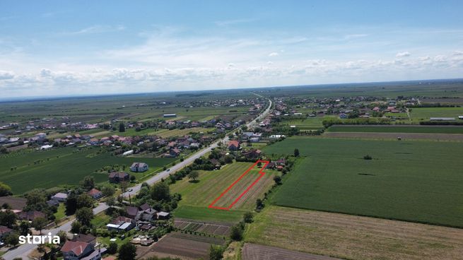 Teren intravilan de 1.900 mp | La doar 3,5 km de Satu Mare-6