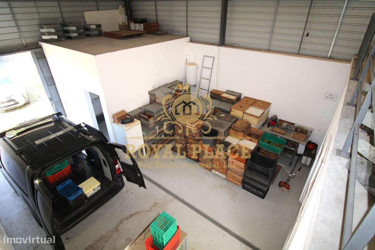 Quinta com armazém em Ossela, Oliveira de Azeméis-39