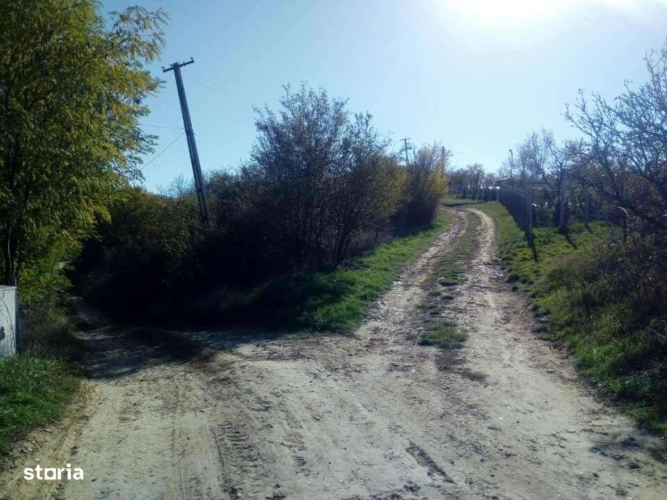 Teren intravilan, 42 ari, Str. 22 Dec. - Imagine principală: 2/4