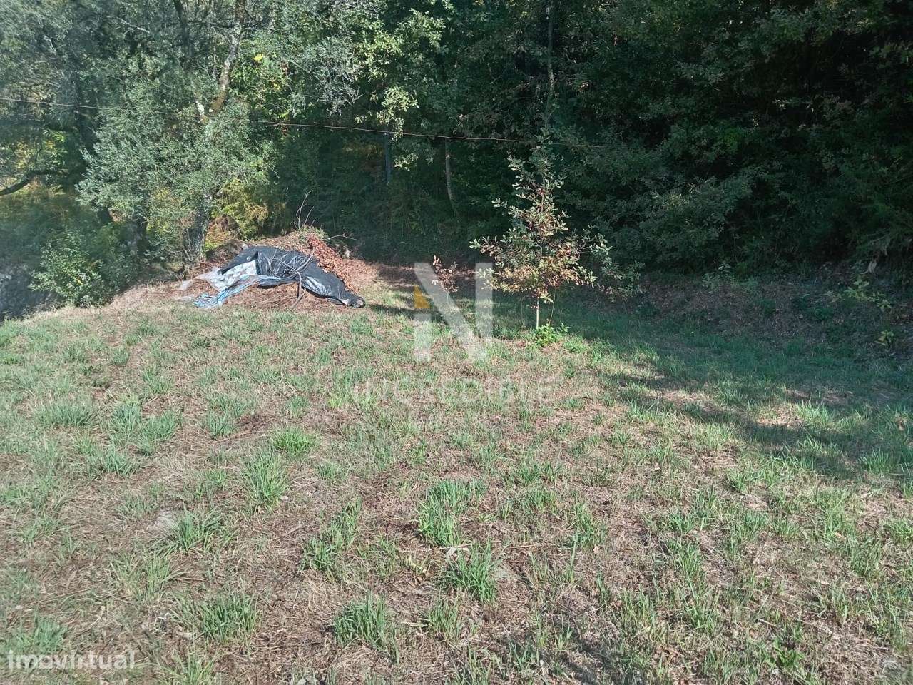 Terreno  Venda em Vade,Vila Verde - Grande imagem: 4/6