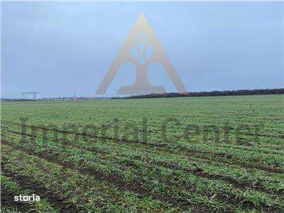 Teren Intravilan 28.000 mp în One?ti – pentru Investi?ii Industriale s-3