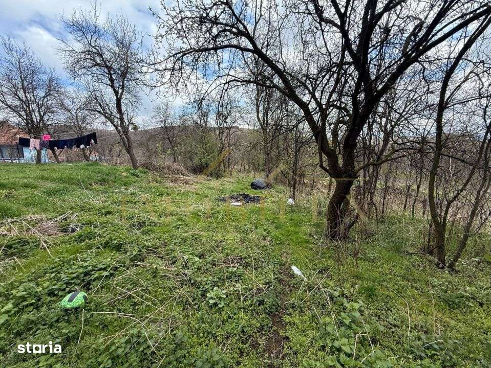 Teren 2400 mp , pretabil constructie casa, Ciurila - Imagine principală: 3/3