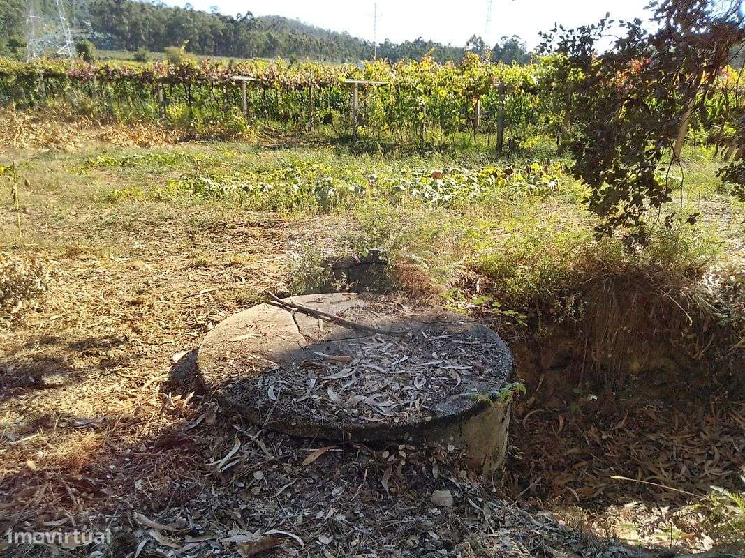 Terreno  para venda-5