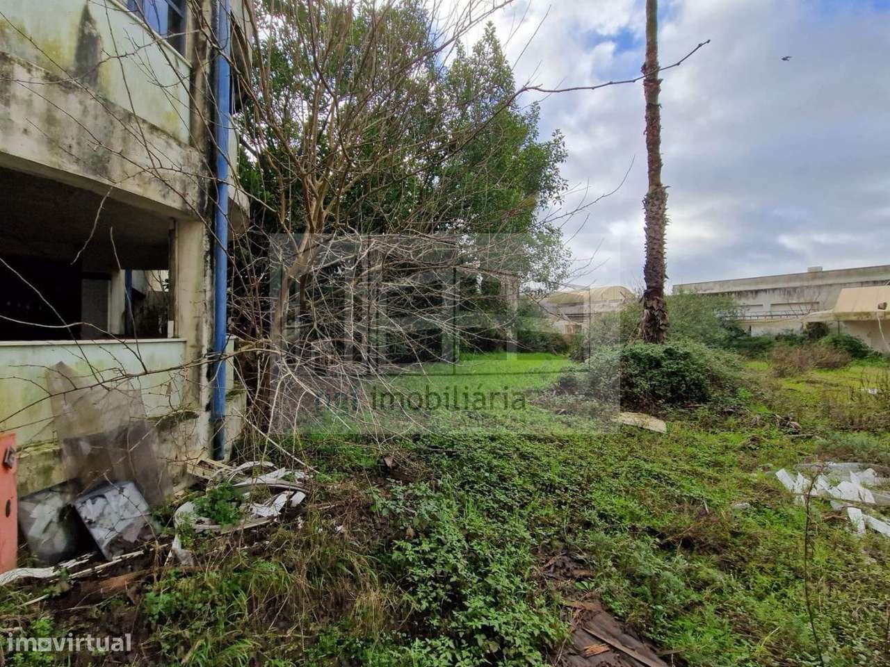 Armazém - Amadora - Grande imagem: 4/12