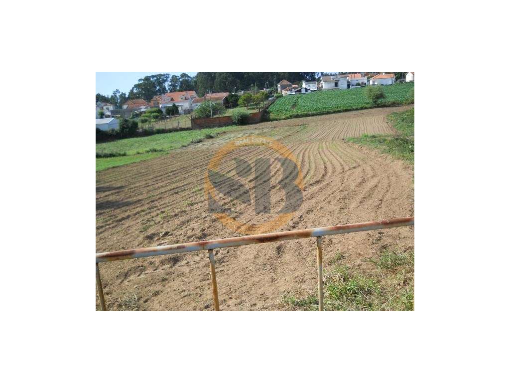 Terreno Construção Arada - Grande imagem: 2/8