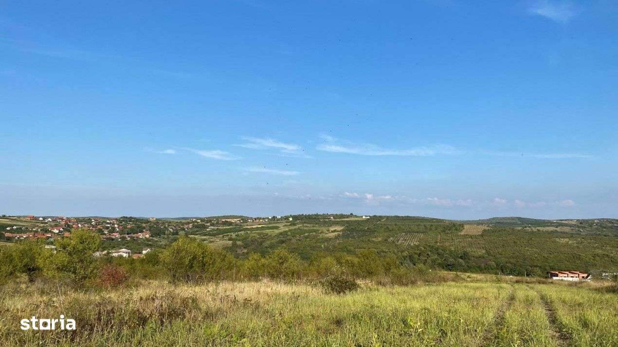 Teren intravilan, Saldabagiul de Munte - Imagine principală: 4/8