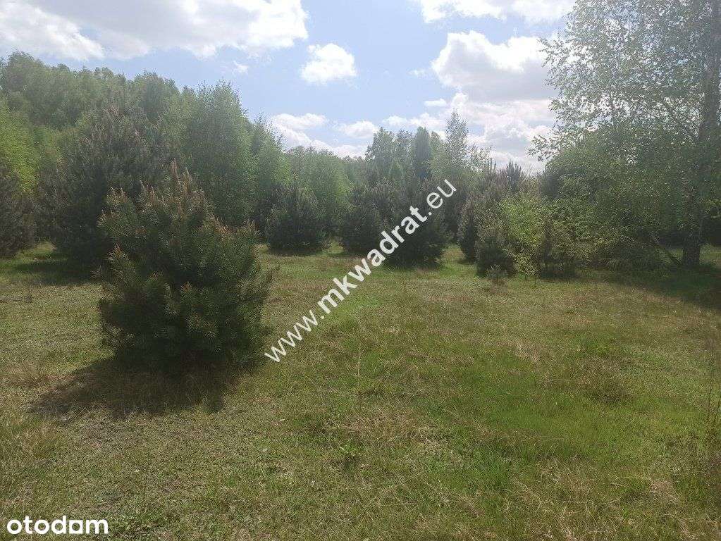 ⭐ ⭐ ⭐ ⭐ ⭐ Super działka 1200m2 Media Szkoła Mpzp!-6