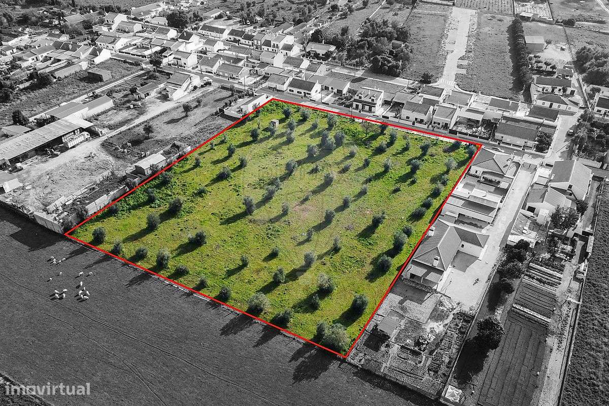 Terreno  para venda-10