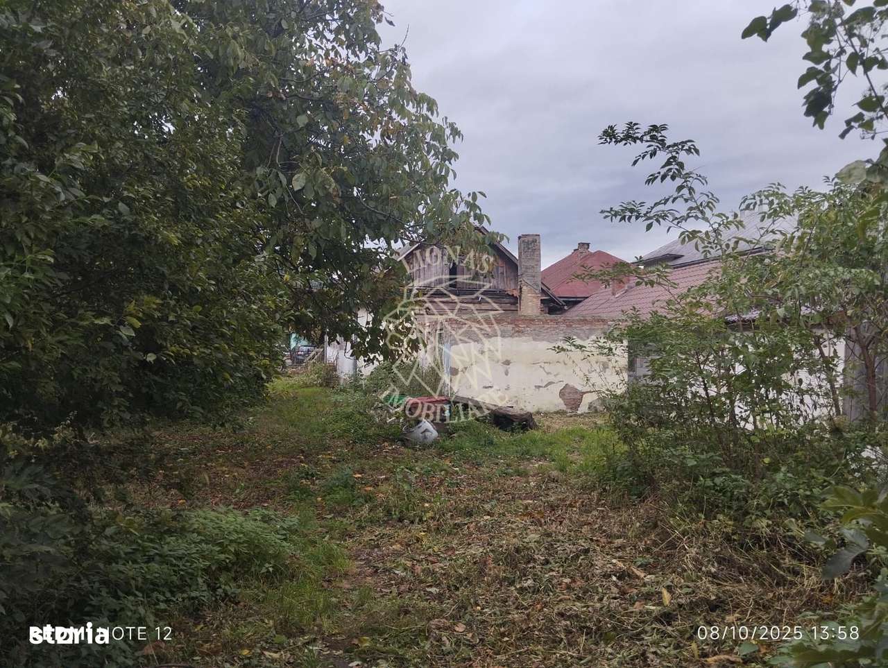 Teren intravilan 2500 mp-utilitati-ideal casa-Mijlocenii Bargaului - Imagine principală: 4/5