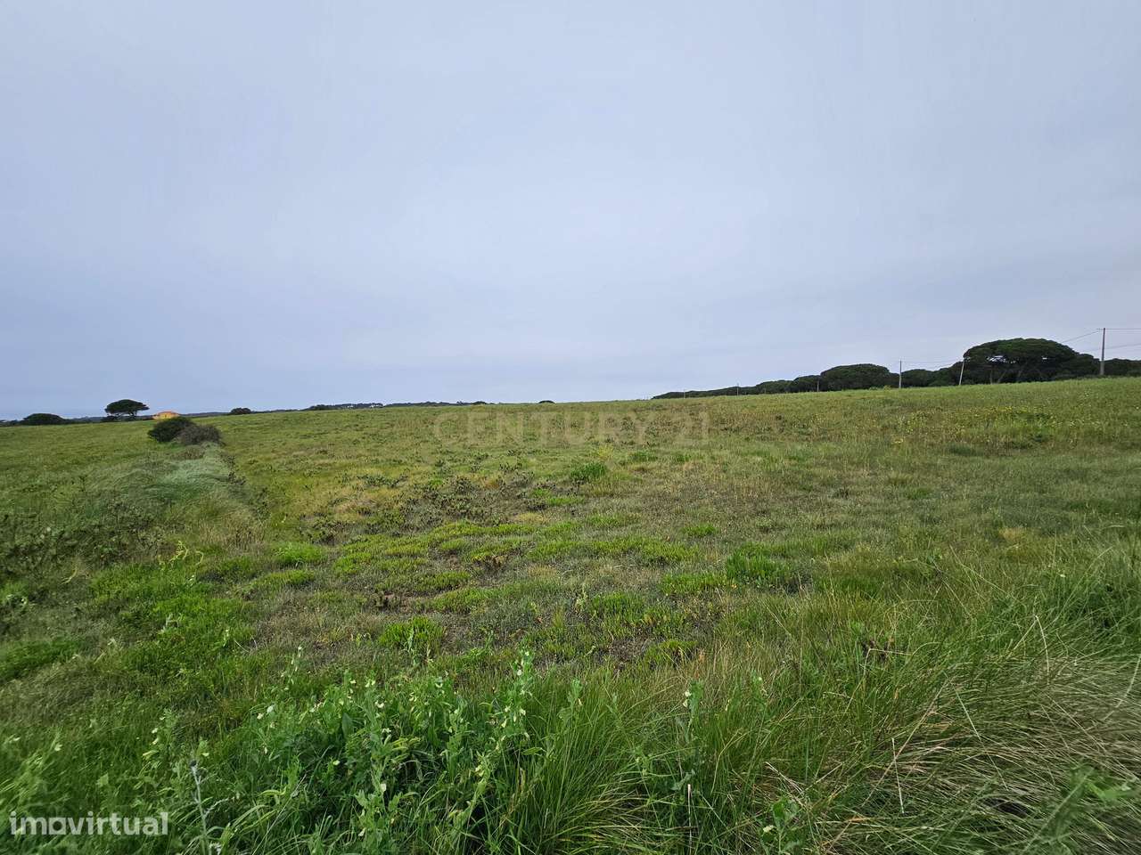 Terreno Rústico | 14160m2 | Sintra | Fontanelas | Av. Nossa Senhora da-24