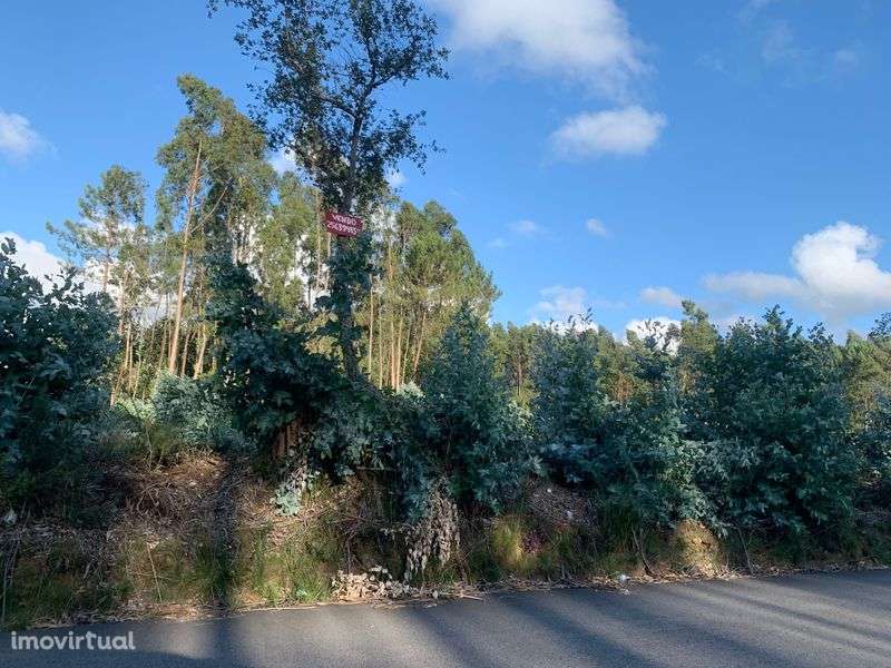 Land for sale in Ovar, Portugal — €99,000
