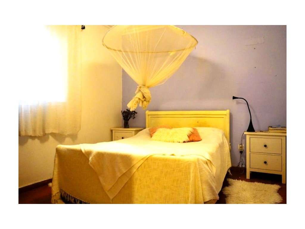 Monte Alentejano com 8,2 Hectares - Um Paraíso de Natureza e Sereni...-7