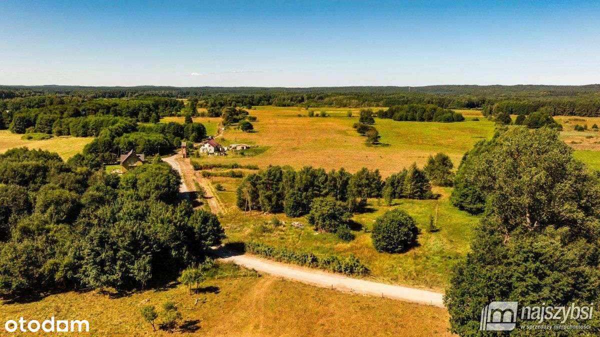 Rabiąż - duża działka z Wz , tylko 7km do morza - Pełny obrazek: 4/15