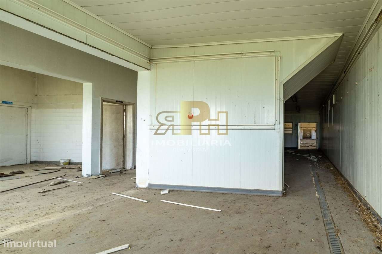 Armazém T6 Venda em Alcanhões,Santarém-33