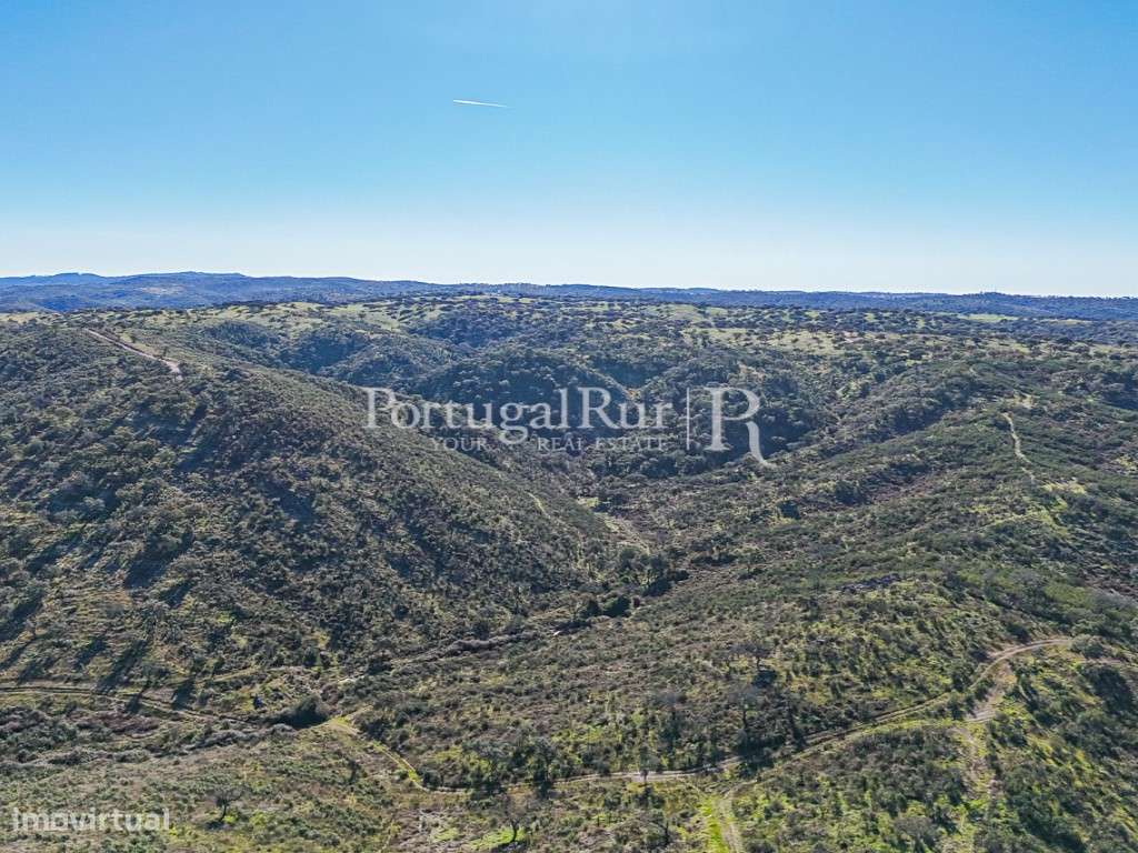Herdade de Caça Maior com 1000 Hectares + 4 Apartamentos + Anexos-45