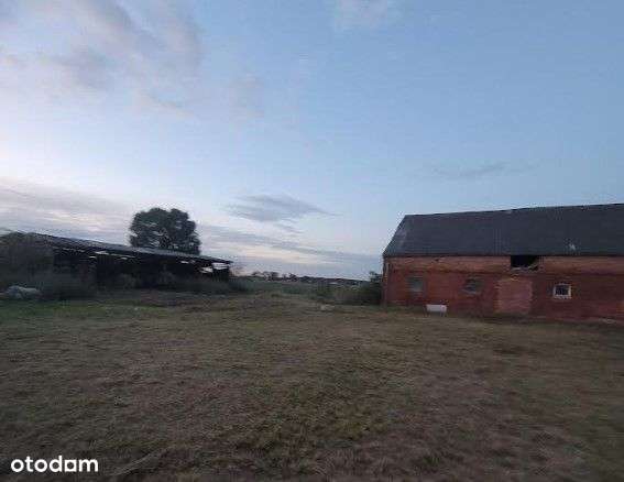 Sprzedam siedlisko, ziemia 1h - Pełny obrazek: 2/4