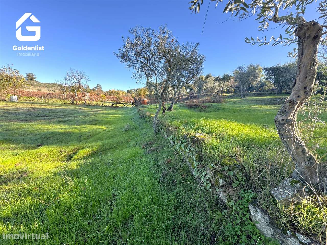Quinta T3 Venda em Escalos de Cima e Lousa,Castelo Branco-47