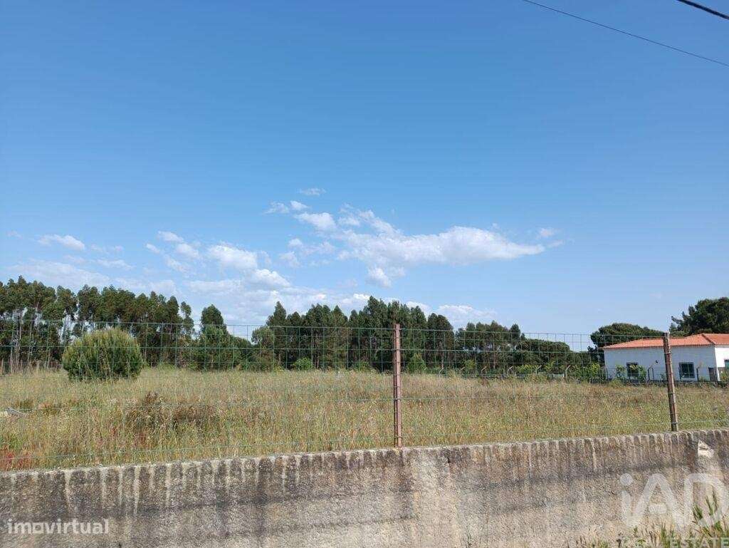 Terreno em Benavente de 4990,00 m2 - Grande imagem: 3/3