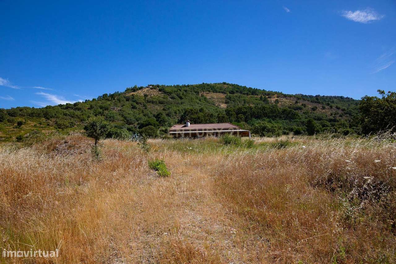 Quinta com 2,5 hectares em Portalegre - Grande imagem: 4/9