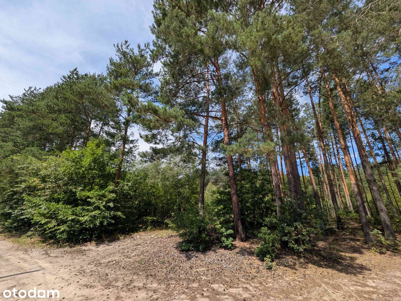 Sprzedam Działkę Budowlaną Pod Lasem - Okolice Mielca