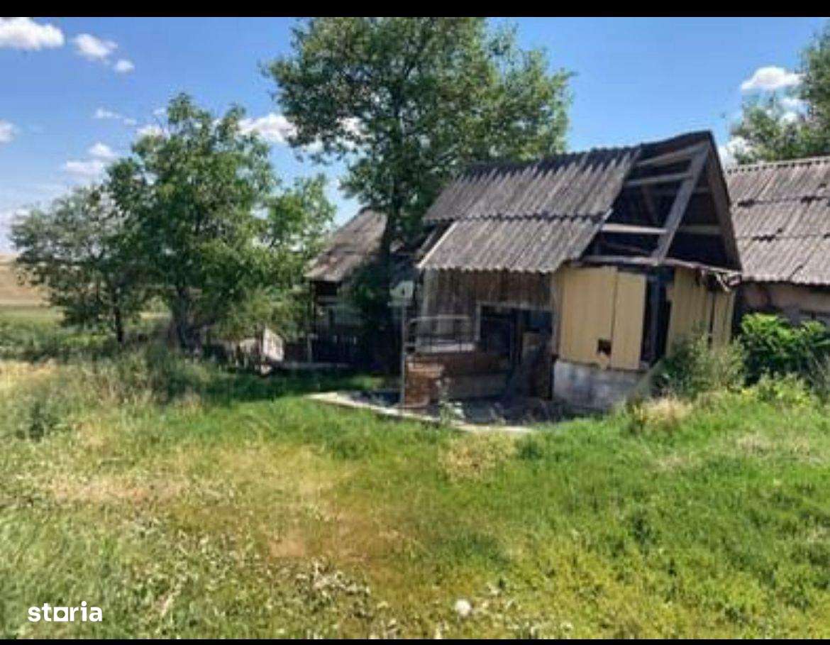 Reco  Teren 5800 mp in Ghenetea | Strada asfaltata recent - Imagine principală: 4/11