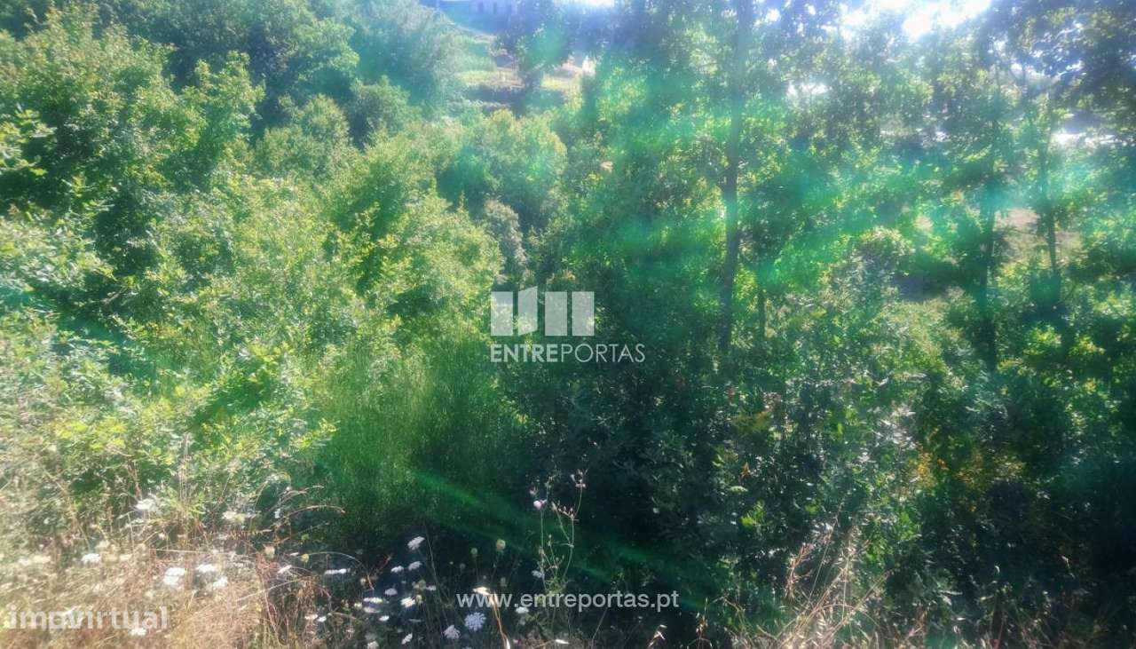 Venda Terreno p/ plantação agrícola, Soalhães, Marco de Canaveses - Grande imagem: 4/30