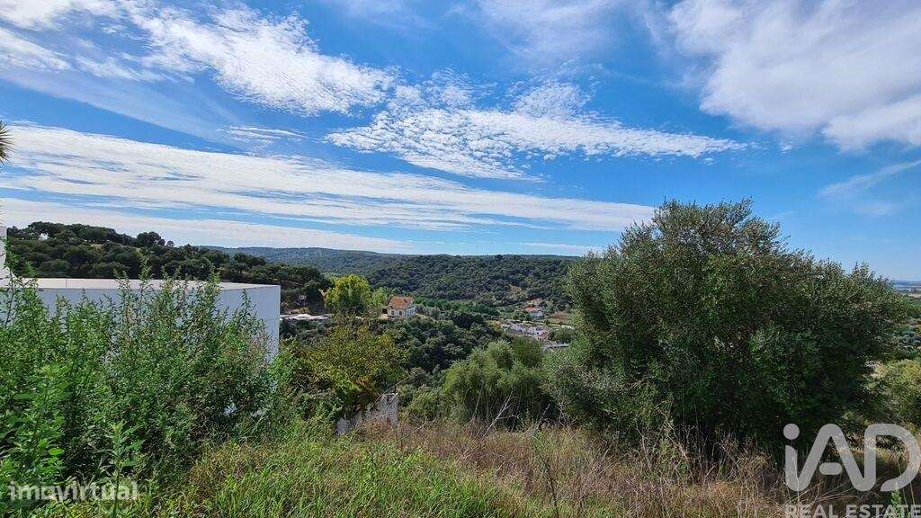 Terreno em Chamusca e Pinheiro Grande de 712,00 m2 - Grande imagem: 2/11