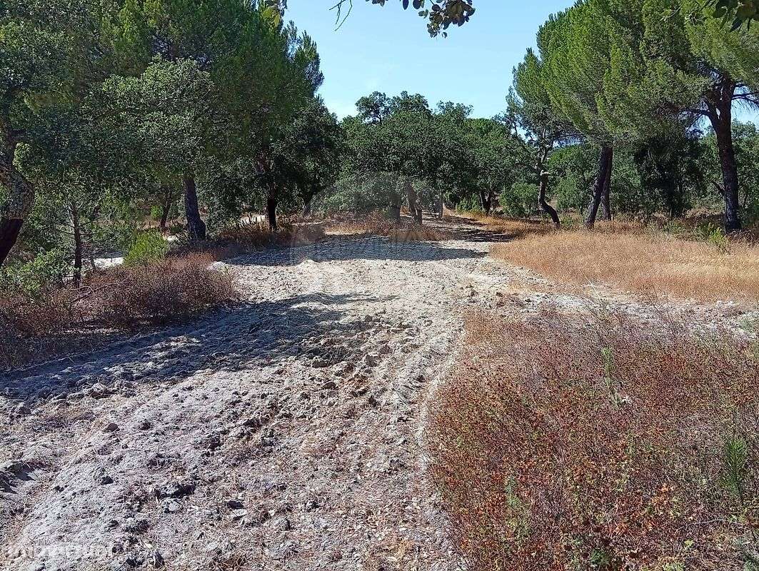 Terreno  para venda - Grande imagem: 4/6