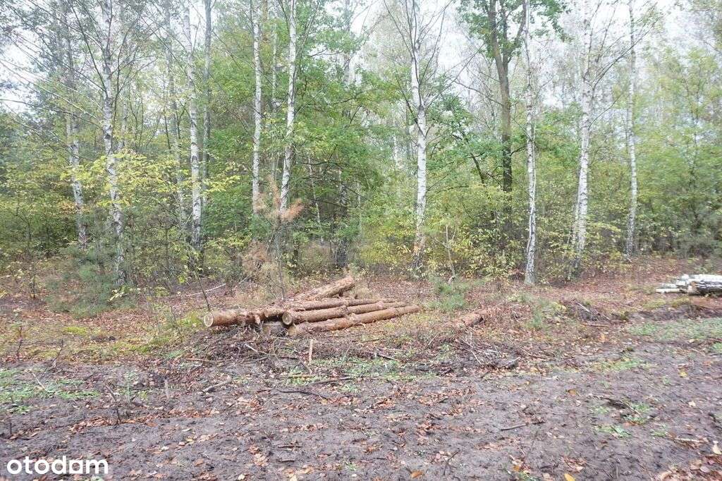 działka w otulinie Kpn-2