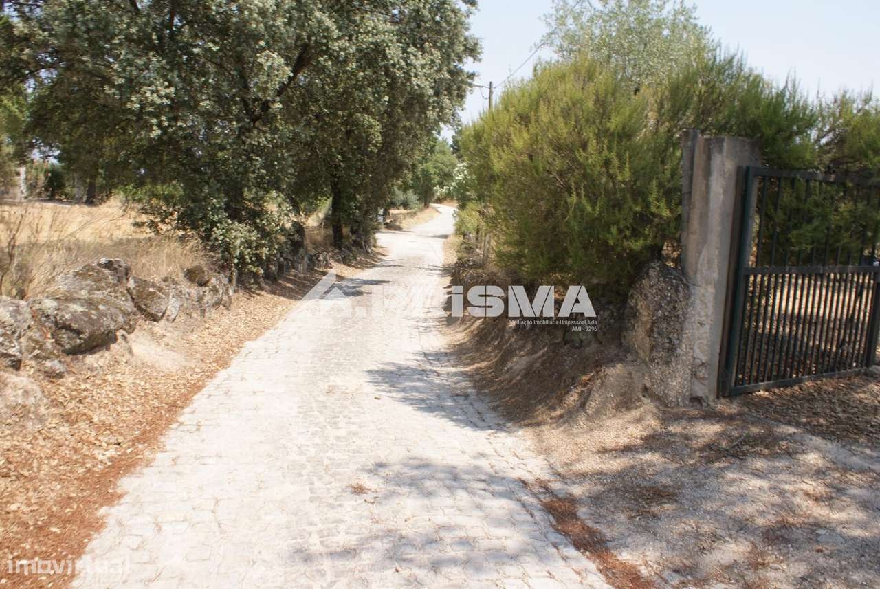 Quinta para Venda em Orca - Fundão-15