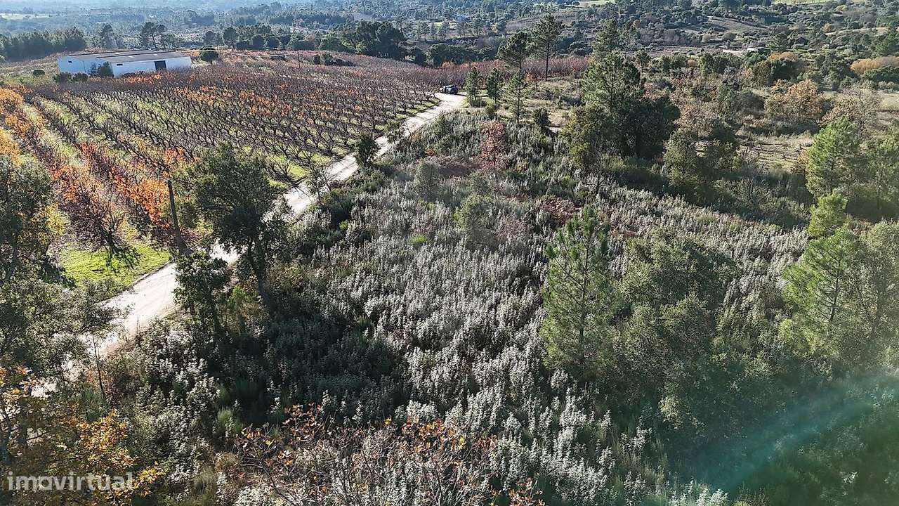 Terreno  para venda - Grande imagem: 5/14