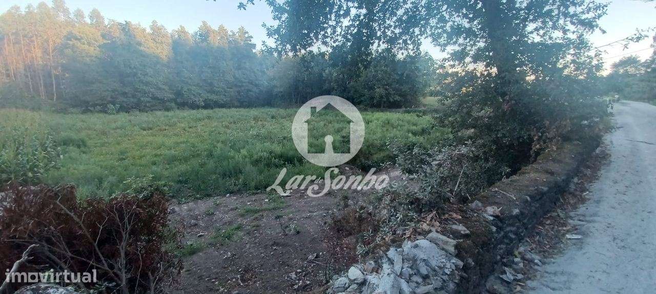 Terreno agrícola com 2.100 m2 em Ribeirão - Grande imagem: 4/6