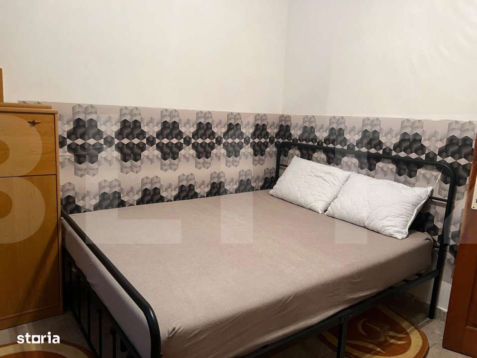 Apartament cu o camera Buziasului - Imagine principală: 5/8