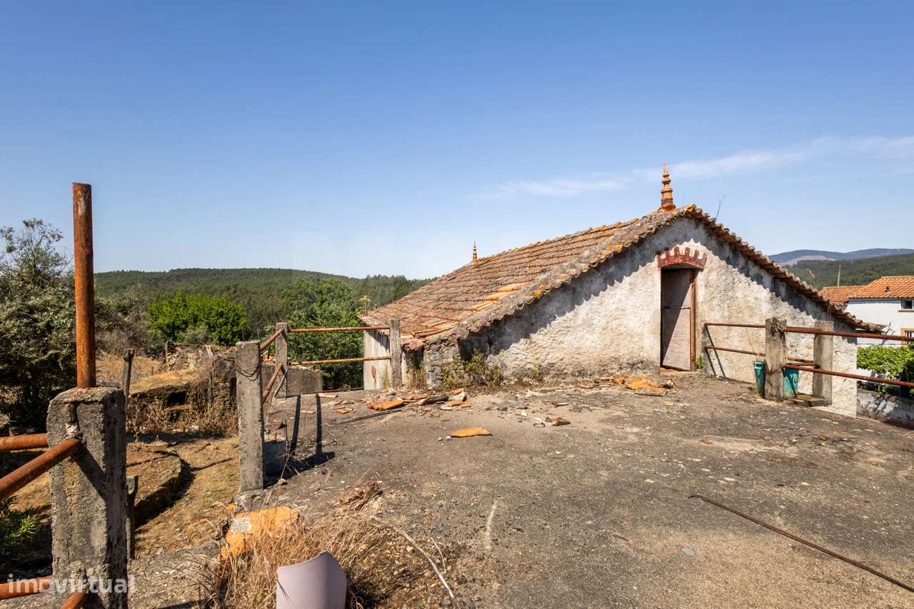 PROPRIEDADE DE CARÁTER NA N2 | 400 m² DE CONSTRUÇÃO, OLIVAL E POTEN...-38