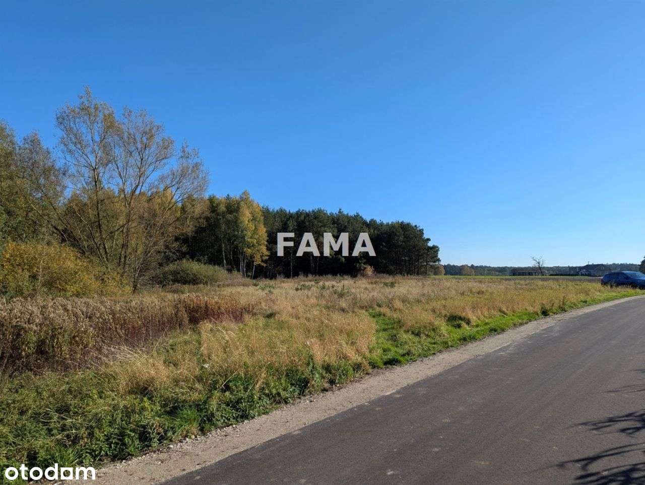 Działka 3,87 ha, Lisek, gm. Fabianki, asfalt-4