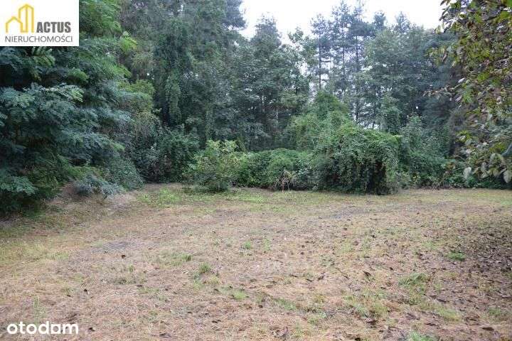 Niepołomice, ul. Leśna Dzierżawa - Pełny obrazek: 5/11