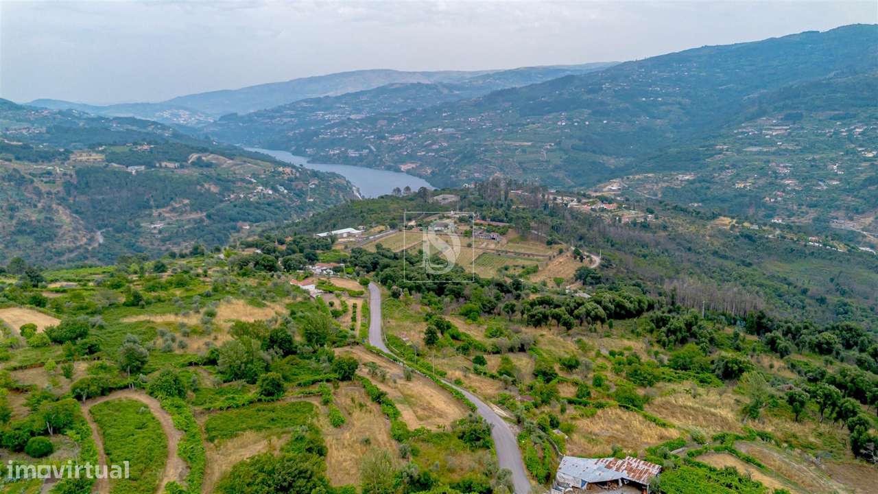 Terreno Para Construção  Venda em Ancede e Ribadouro,Baião-10