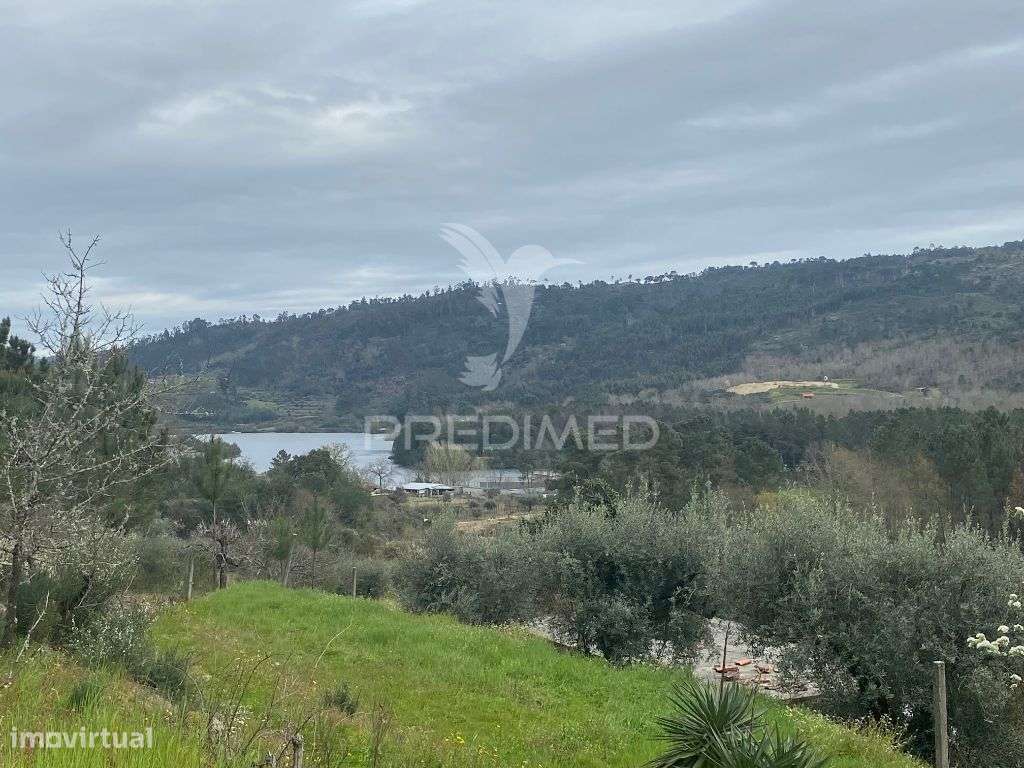 Vende Quinta com 5 hectares junto ao rio dão - Grande imagem: 4/8