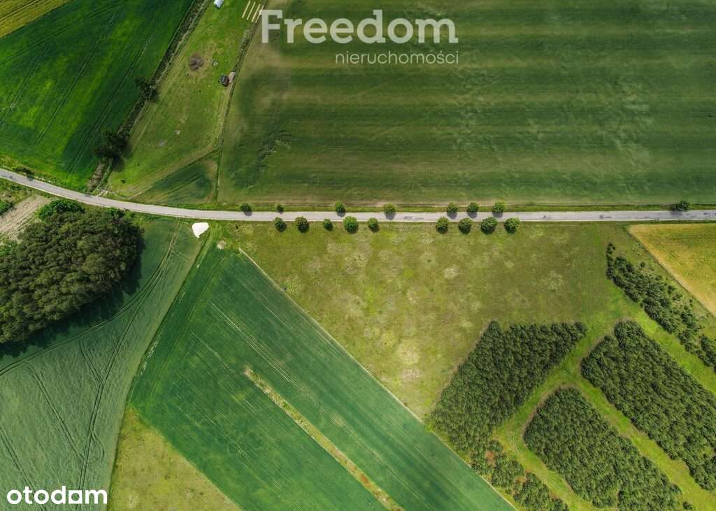 Atrakcyjna działka w Grzybowo, gm. Skoki - Pełny obrazek: 2/9