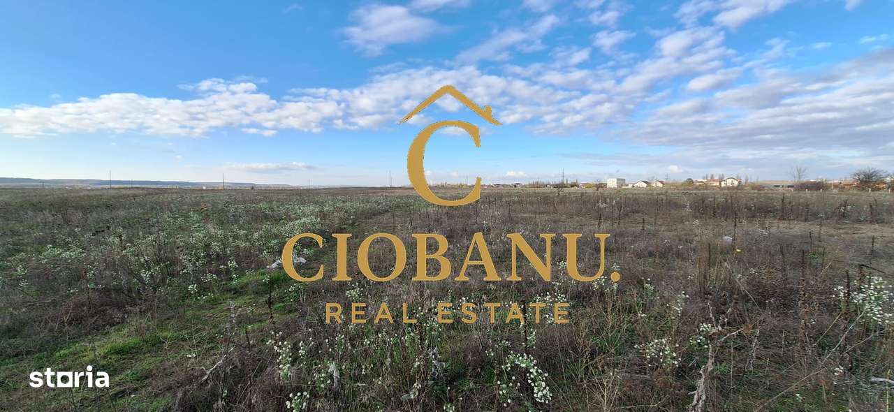 Parcele de teren intravilan de vanzare zona Preajba - Imagine principală: 4/9