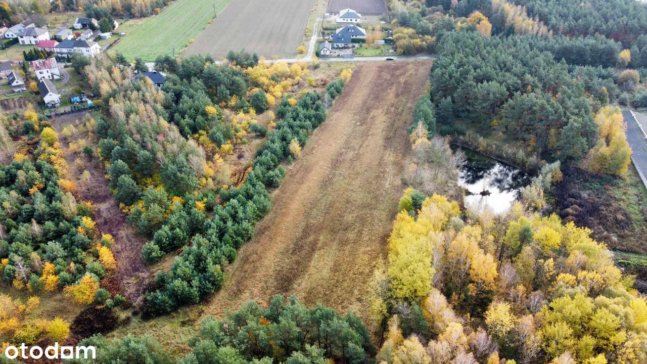 Atrakcyjna nieruchomość gruntowa w Rzeczycy – doskonała inwestycja - Pełny obrazek: 4/7