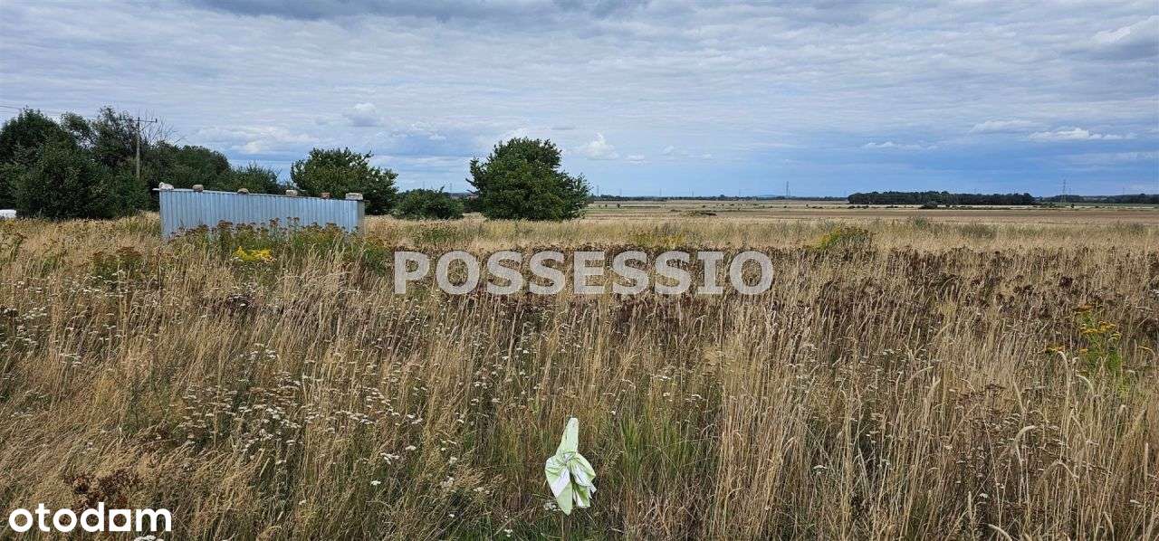 Działka Pod Zabudowę W Gminie Dobromierz - Pełny obrazek: 5/8